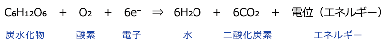 C₆H₁₂O₆　＋　O₂　＋　6e⁻　⇒　6H₂O　＋　6CO₂　＋　電位（エネルギー）　（炭水化物）　　酸素 電子 水 二酸化炭素　　　エネルギー